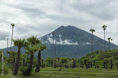 Green palm trees and mount Agung volcano view in Karangasem district of Bali island on an overcast day with heavy clouds photo