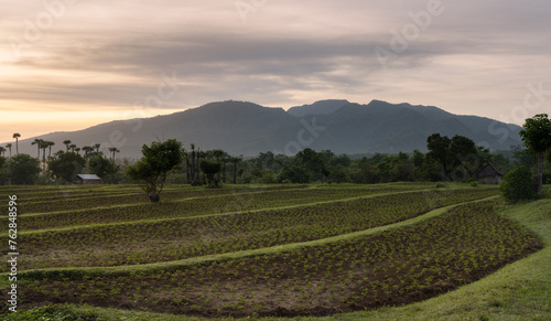 Agricultural, farmers' fields hills and scenic landscape of rural parts of Bali island, Tulamben, Karangasem district  at sunrise photo