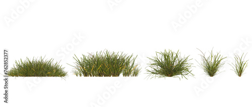Collection group of Plant bush on transparent background