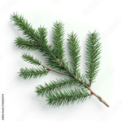 Fresh green fir branch isolated on white background