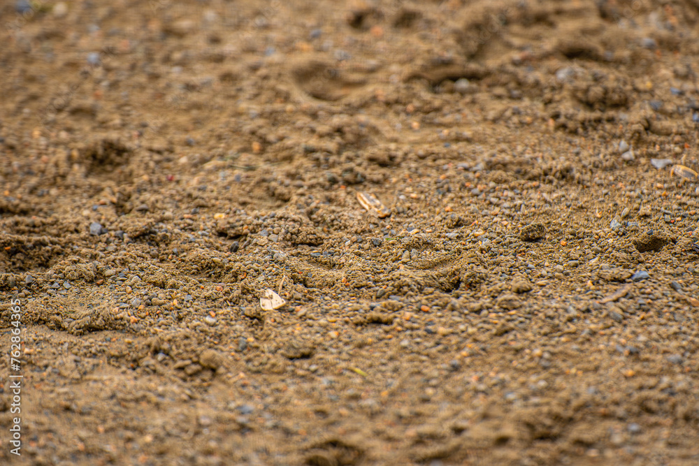 texture of sand from a baseball field texture of sand from a baseball field