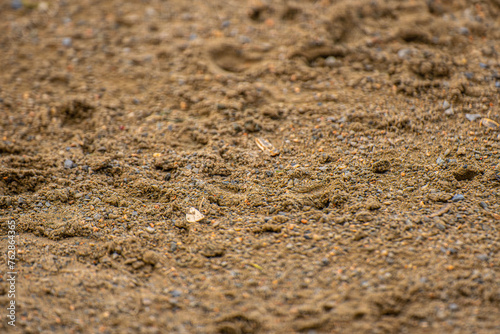texture of sand from a baseball field (ID: 762864365)