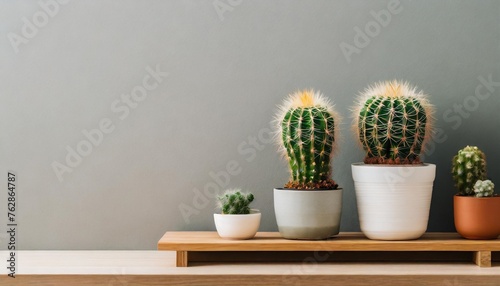 Cactus on a shelf by a blank wall background with space for text use
