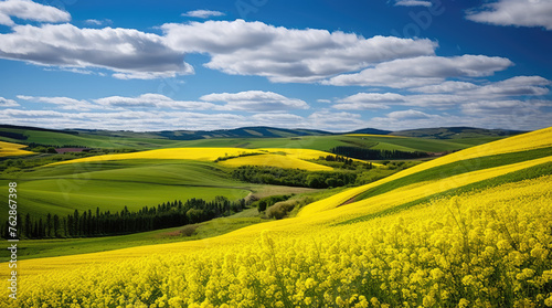 Abstract natural sunny eco seasonal floral background. Picturesque countryside landscape. blooming rapeseed or canola fields, green rows and trees. 