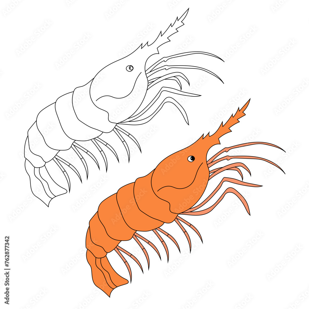 Obraz premium Sea Animal Clipart. Shrimp Clipart Set. Colorful and Outline Shrimps