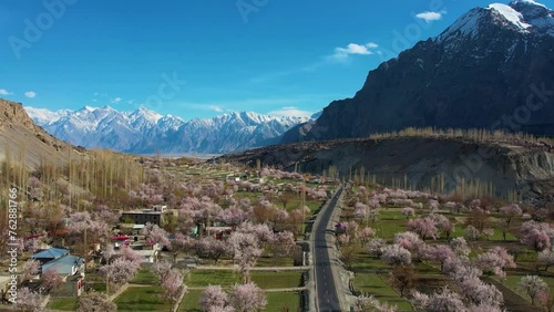 Aerial View Cherry Blossom Trees On Valley Floor In Skardu,  Gilgit-Baltistan. Descending Shot photo