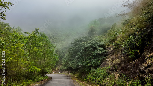 Misty mountain road winding through lush green forest, with space for text, ideal for travel or adventure-themed backgrounds, Earth day concept, Earth day concept