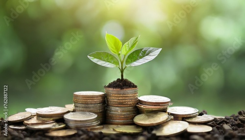 Growing plants on coins stacked on green blurred