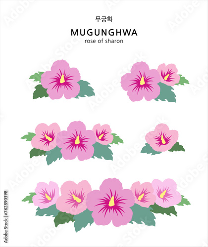 20240305_koreaflower033