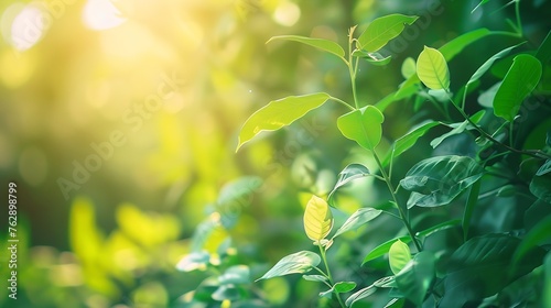 Abstract blur green foliage and tree in jungle with sun light spring summer Farming concept on plant forest and environment day of farmer organic building sunshine on leaf herb lush so : Generative AI