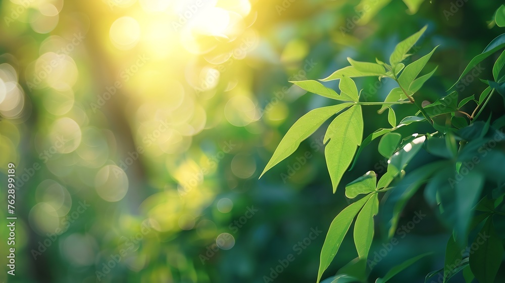 Concept nature view of green leaf on blurred greenery background in garden and sunlight with copy space using as background natural green plants landscape ecology fresh wallpaper : Generative AI Concept nature view of green leaf on blurred greenery background in garden and sunlight with copy space using as background natural green plants landscape ecology fresh wallpaper : Generative AI