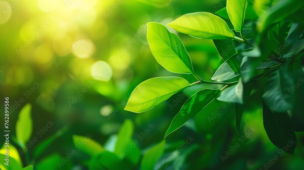 Nature of green leaf in garden at summer Natural green leaves plants using as spring background cover page environment ecology or greenery wallpaper : Generative AI Nature of green leaf in garden at summer Natural green leaves plants using as spring background cover page environment ecology or greenery wallpaper : Generative AI