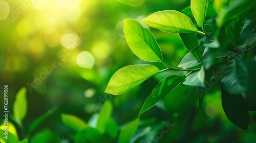 Nature of green leaf in garden at summer Natural green leaves plants using as spring background cover page environment ecology or greenery wallpaper   Generative AI