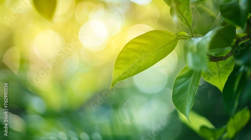 Close up fresh nature view of green leaf on blurred greenery background in garden with copy space using as background natural green plants landscape ecology fresh wallpaper concept   Generative AI