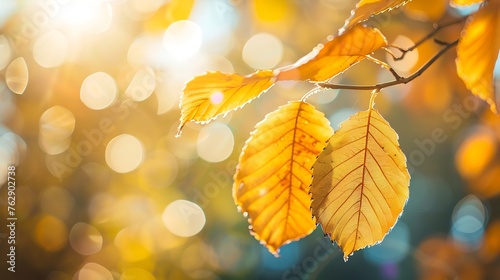 Autumn yellow leaf closeup Bright orange tree change Blur bokeh on background Golden color in park Light sunny warm october day Red leaves in garden Sun in blue sky Fall nature woods s : Generative AI