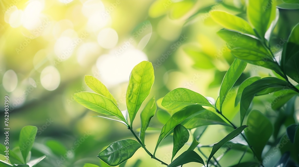 Closeup macro soft focus fresh green leaves abstract blur backgroundconcept idea for ecology backdropdesktop wallpaperwebsite cover design : Generative AI Closeup macro soft focus fresh green leaves abstract blur backgroundconcept idea for ecology backdropdesktop wallpaperwebsite cover design : Generative AI