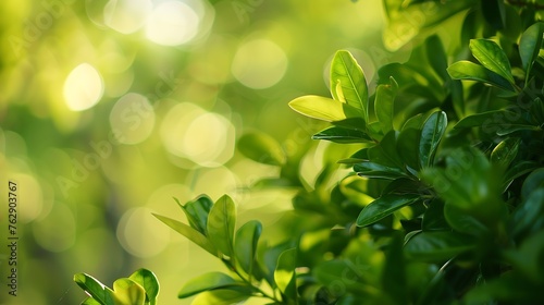 green blurred background of green leaves in the day time : Generative AI