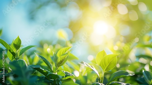 World environment day concept Blur green garden nature and blue sky on agriculture field background : Generative AI