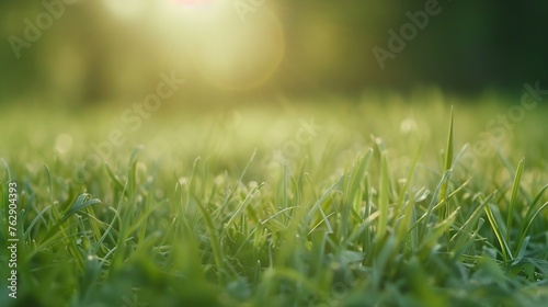 Lawn blur with soft light for background : Generative AI