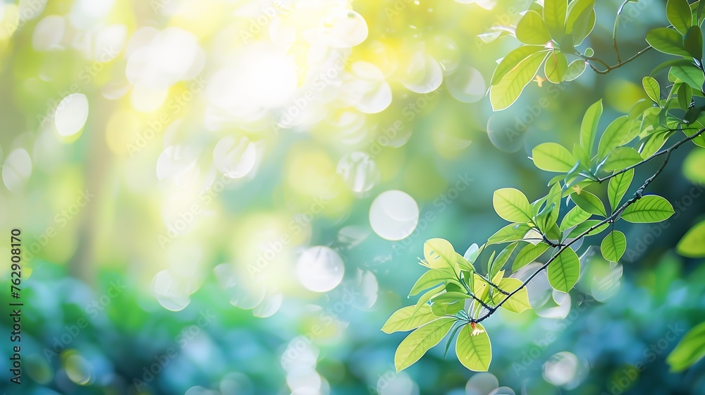 Blurred bokeh of tree garden in morning backgroundspring summer season or green concept ideas : Generative AI Blurred bokeh of tree garden in morning backgroundspring summer season or green concept ideas : Generative AI
