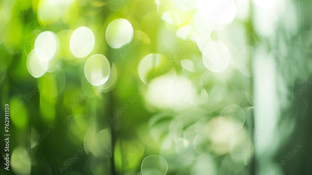 Blur white green abstract background from kitchen window panoramic banner : Generative AI Blur white green abstract background from kitchen window panoramic banner : Generative AI