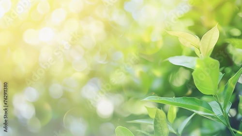 Green nature in spring eco garden Summer abstract blurred background Bush trees leaves Light blurry out focus bokeh Soft fresh bio plant Sunny sky foliage park grass Bright color sun d   Generative AI