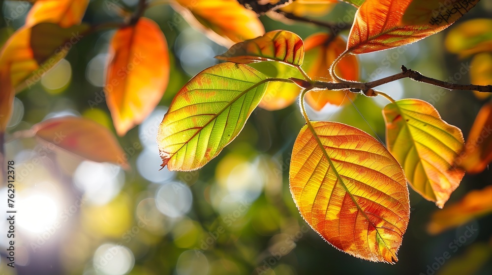 Light shining on tree leaves : Generative AI