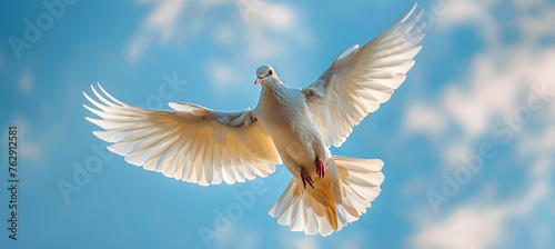 White dove of peace flying with wings wide open against blue sky.