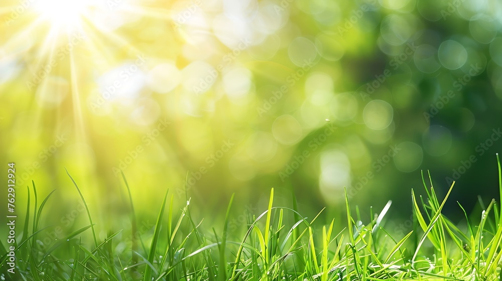 Obraz premium green grass blurred background with sun rays in park meadow : Generative AI