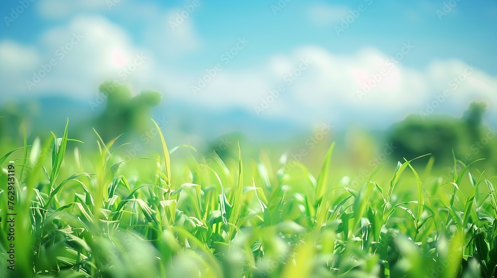 World environment day concept Blur green garden nature and blue sky on agriculture field background : Generative AI World environment day concept Blur green garden nature and blue sky on agriculture field background : Generative AI