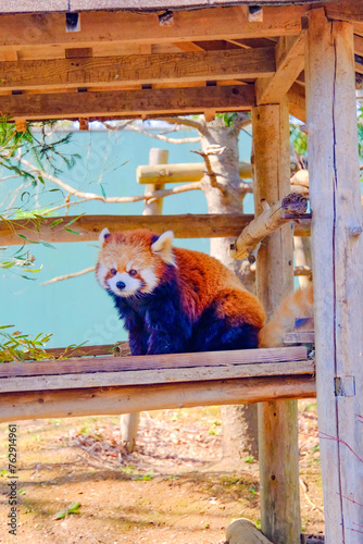 千葉市動物公園の動物たち