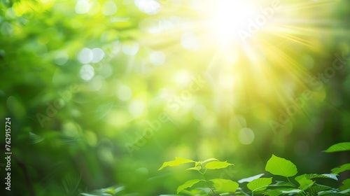 Natural green bright blur background of sunny summer forest : Generative AI