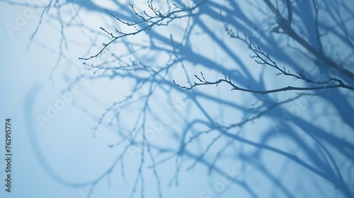 Minimalistic abstract gentle light blue background for product presentation with light and intricate shadow from tree branches on wall   Generative AI