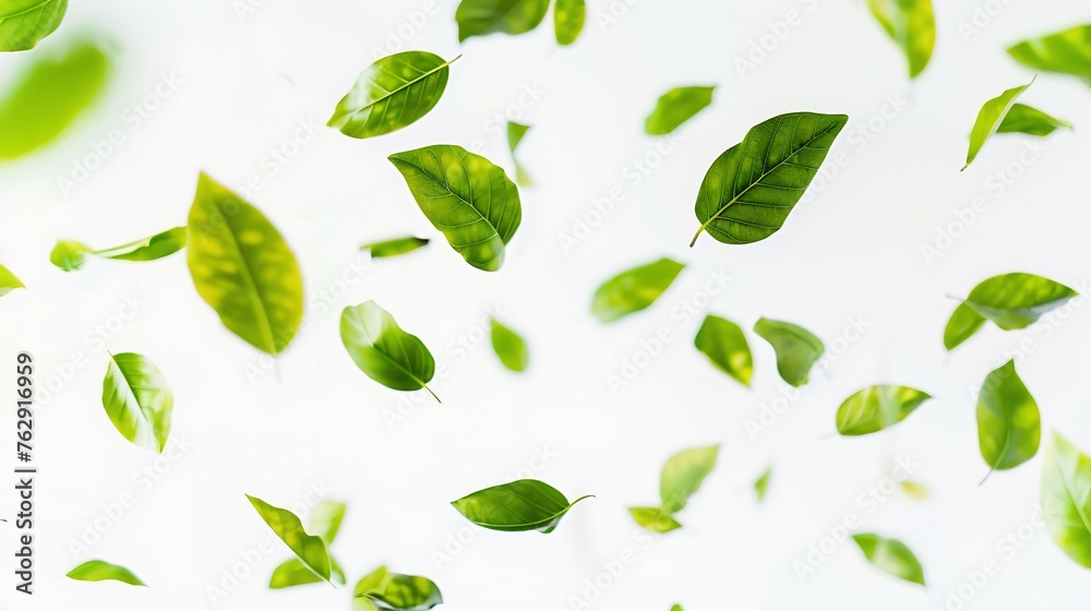 Green leaves flying in the air isolated on white backgroundDay of clean air : Generative AI Green leaves flying in the air isolated on white backgroundDay of clean air : Generative AI