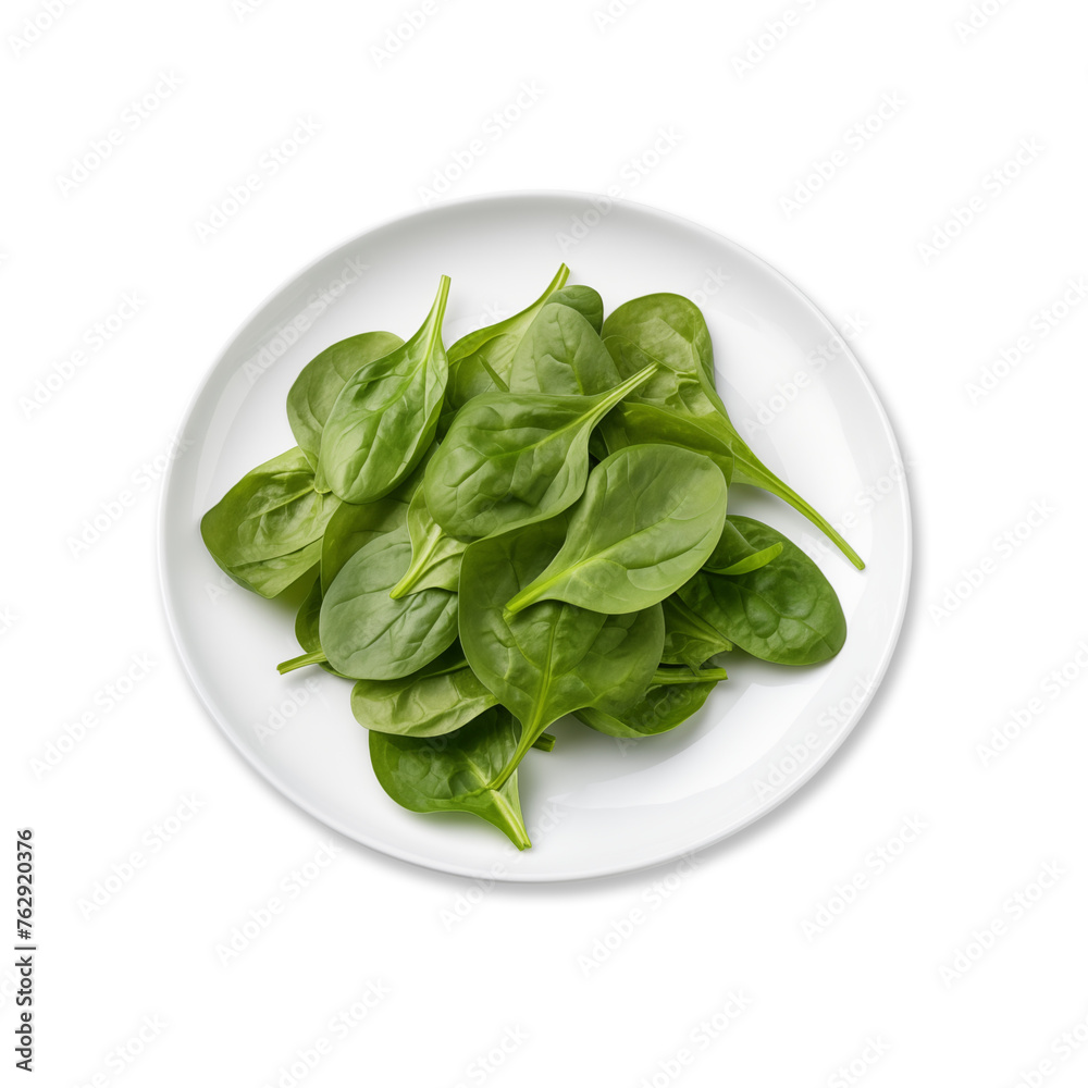 spinach leaves on a plate spinach leaves on a plate