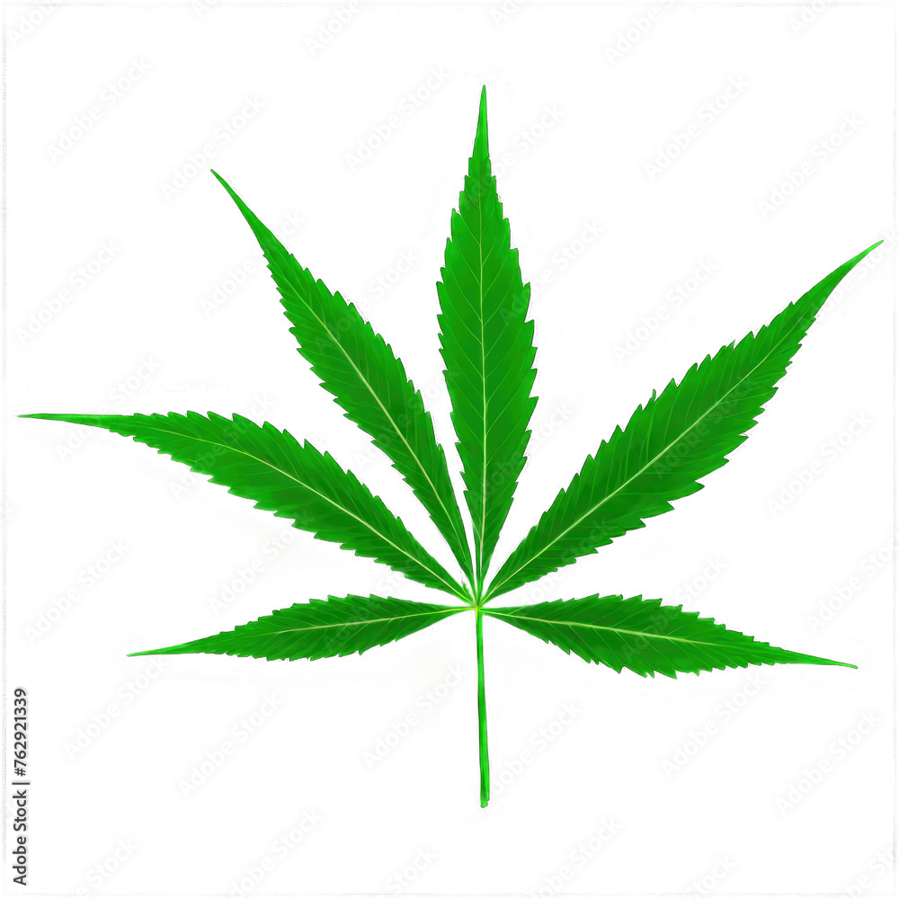 cannabis marijuana leaf transparent background cannabis marijuana leaf transparent background