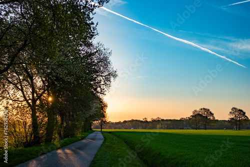 The image captures the serene beauty of an early morning on a country road. A line of trees on the left frames the path that recedes into the distance. The sky is a breathtaking canvas of light blues