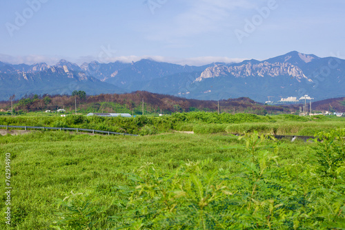 Green Field and Taebaek Mountains with Ulsan Rock