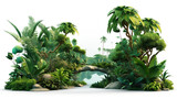 a photo of a jungle image with leaves and trees isolated, png image