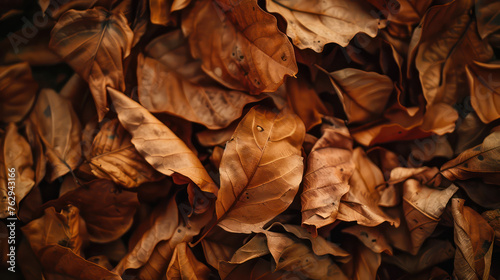 Top view of a pile of brown tobacco leaves. Cinematic and atmospheric shot. 