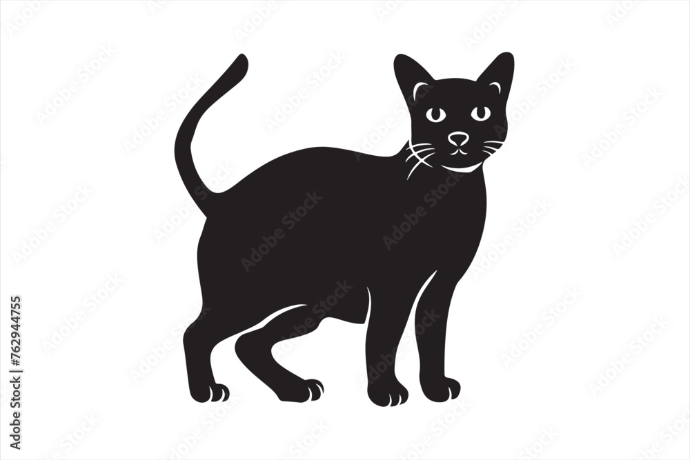 black cat illustration