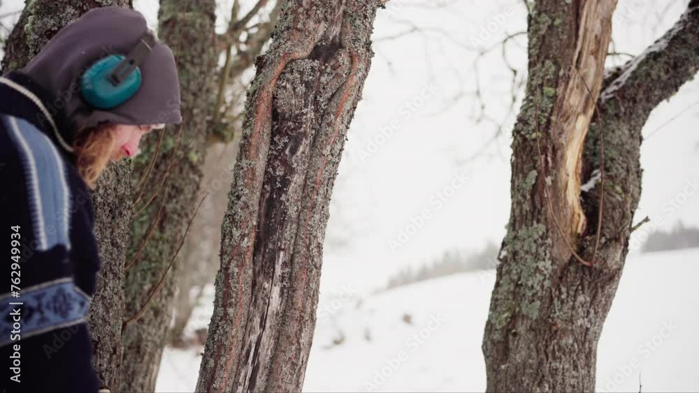 Norwegian Guy With Headphones Checking Old Tree Barks During Winter. Close-up Shot Norwegian Guy With Headphones Checking Old Tree Barks During Winter. Close-up Shot
