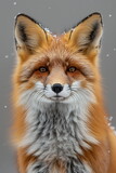 A Hyper-Detailed Red Fox Portrait generative AI