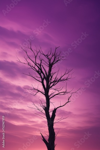 silhouette of a tree against the purple morning sky
