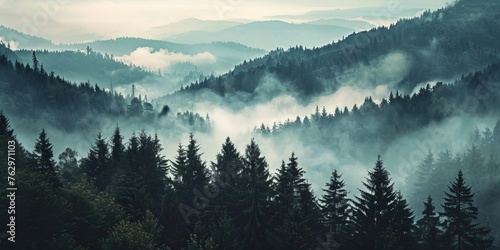 A misty forest with trees and mountains in the background