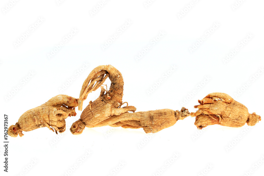 Ginseng on a white background Ginseng on a white background