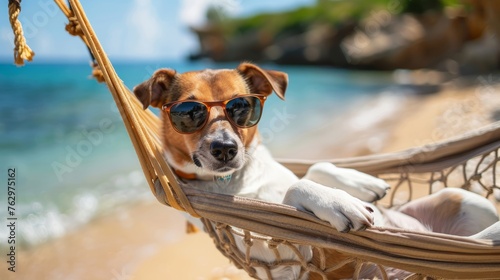 Beach vacation bliss, dog with sunglasses on hammock in serene sea breeze © saichon