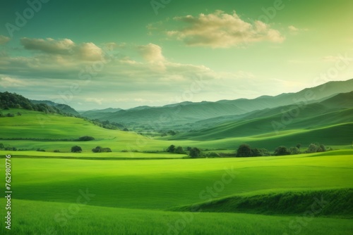 beautiful natural scenery of green fields with clear sky