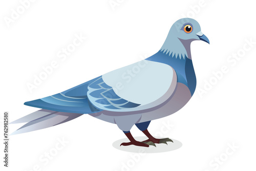 Dove bird isolated flat vector illustration.