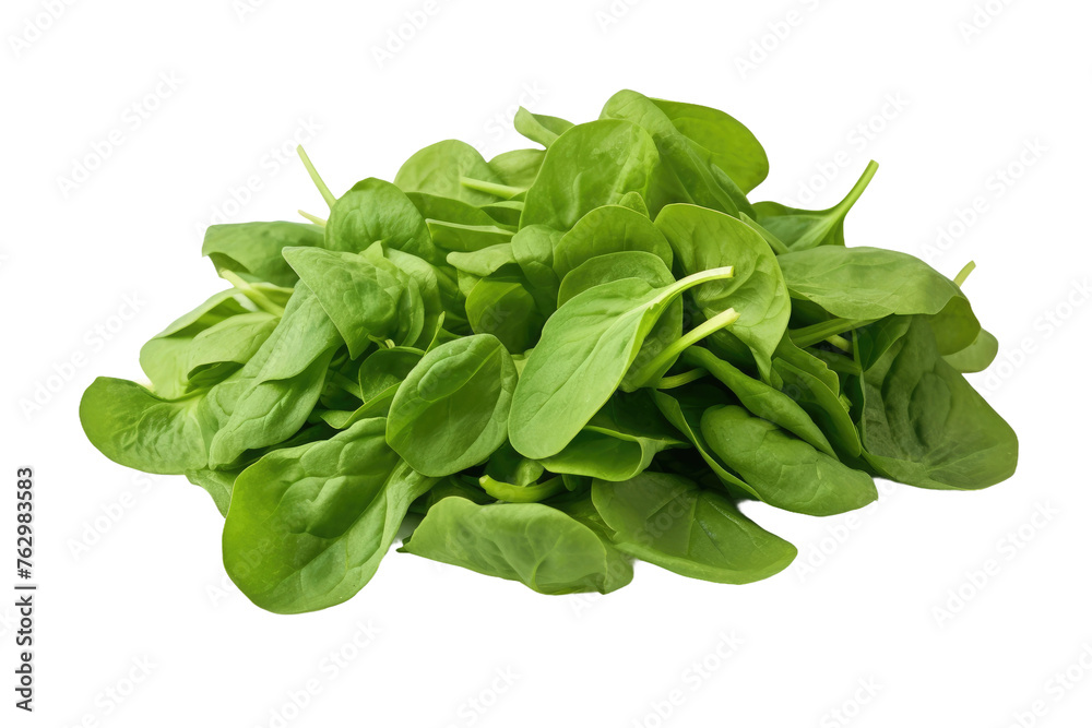 A Pile of Green Leaves on a White Background. On a White or Clear Surface PNG Transparent Background.. A Pile of Green Leaves on a White Background. On a White or Clear Surface PNG Transparent Background..